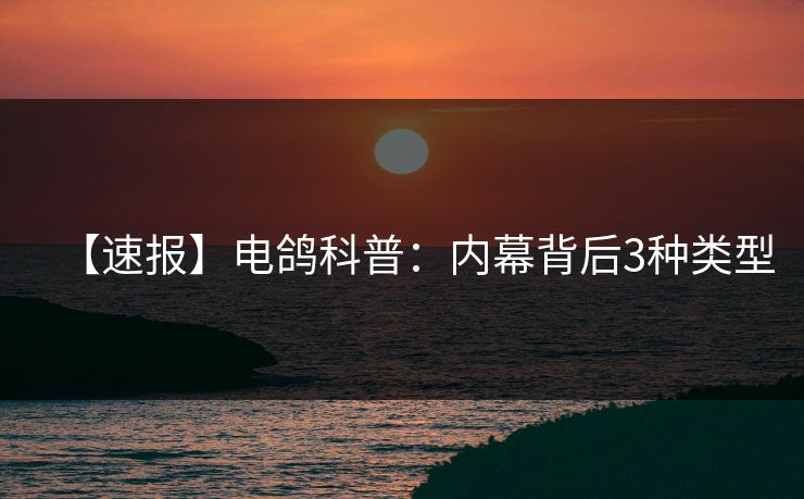 【速报】电鸽科普：内幕背后3种类型