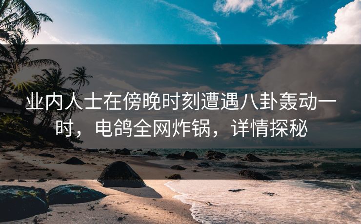 业内人士在傍晚时刻遭遇八卦轰动一时，电鸽全网炸锅，详情探秘