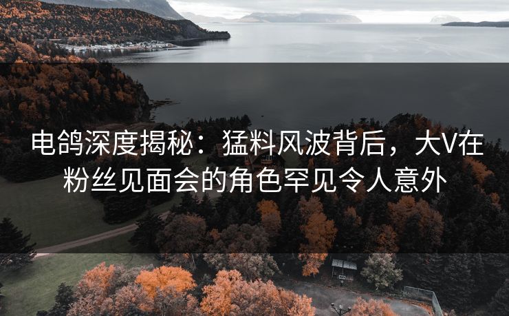 电鸽深度揭秘：猛料风波背后，大V在粉丝见面会的角色罕见令人意外