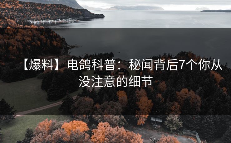 【爆料】电鸽科普：秘闻背后7个你从没注意的细节