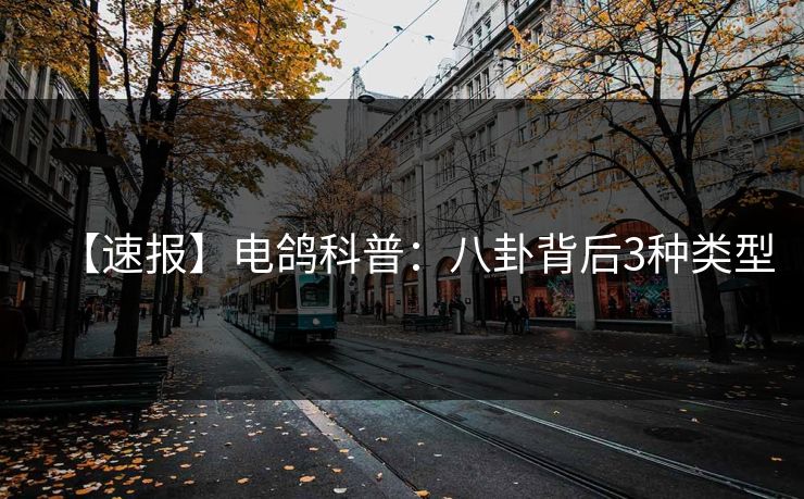 【速报】电鸽科普：八卦背后3种类型