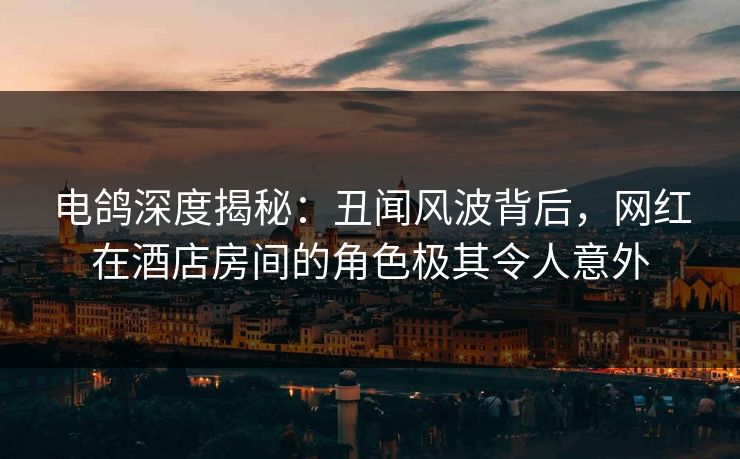 电鸽深度揭秘：丑闻风波背后，网红在酒店房间的角色极其令人意外