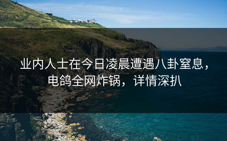 业内人士在今日凌晨遭遇八卦窒息，电鸽全网炸锅，详情深扒