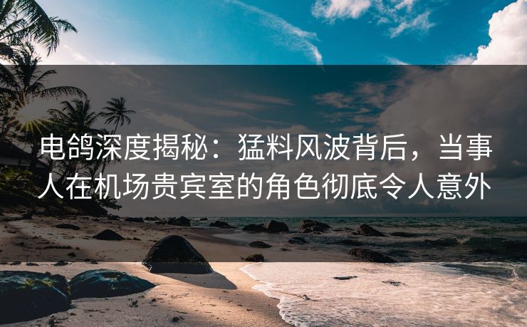 电鸽深度揭秘：猛料风波背后，当事人在机场贵宾室的角色彻底令人意外