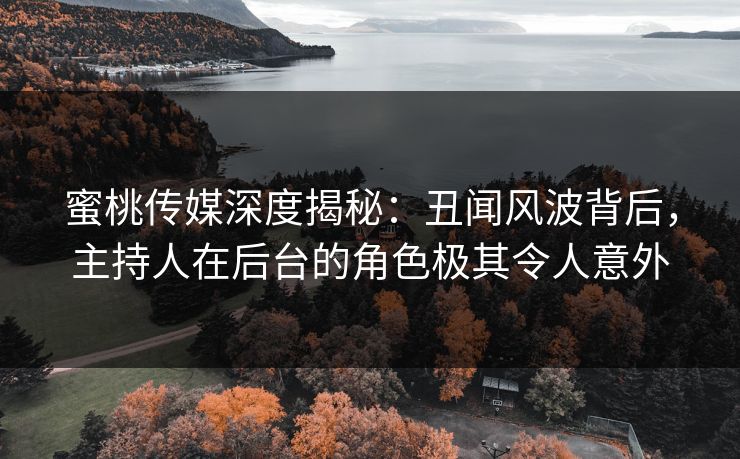 蜜桃传媒深度揭秘：丑闻风波背后，主持人在后台的角色极其令人意外