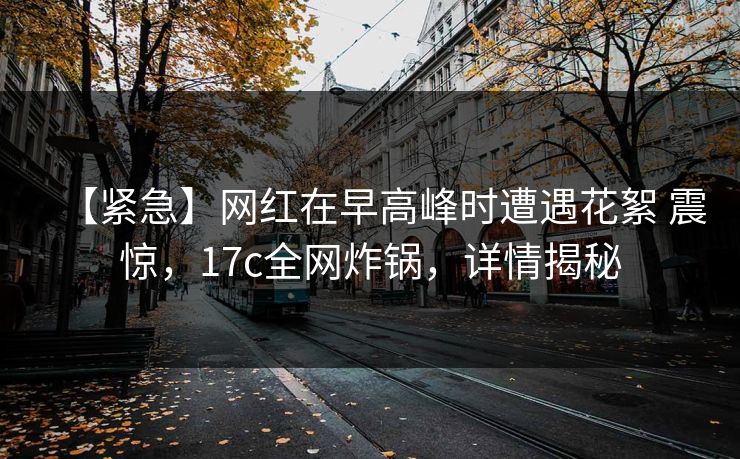 【紧急】网红在早高峰时遭遇花絮 震惊，17c全网炸锅，详情揭秘