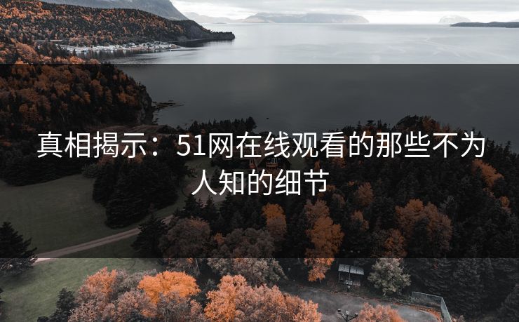 真相揭示：51网在线观看的那些不为人知的细节