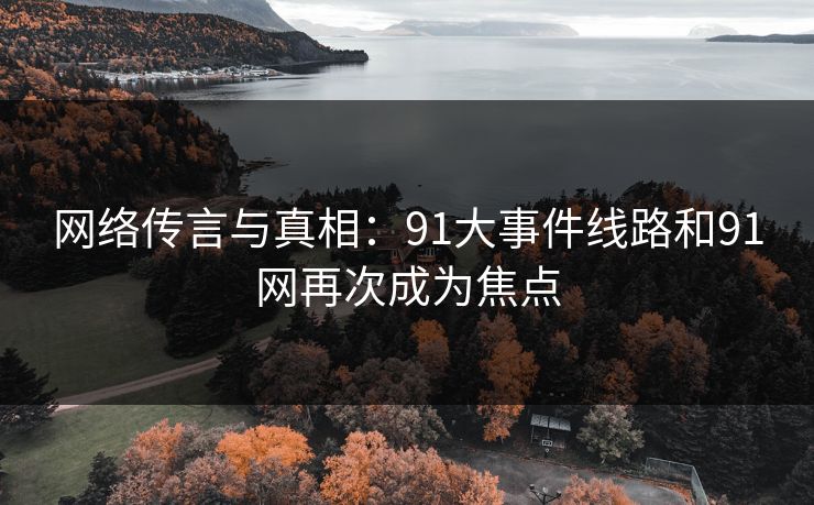 网络传言与真相：91大事件线路和91网再次成为焦点